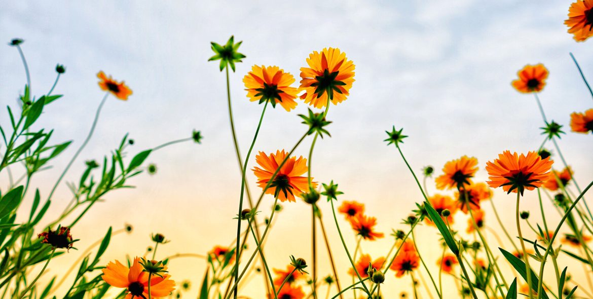 A nivel atómico-molecular todo se reproduce constantemente en una realidad fractal