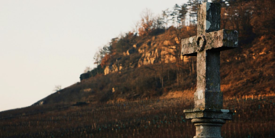 Trascendencia del ser: la muerte es la transformación de las estructuras que te impulsa hacia la siguiente vida